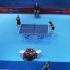 Campeonato del Mundo de Tenis de Mesa para veteranos