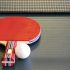 Mesa de Ping Pong de interior Moxen Play