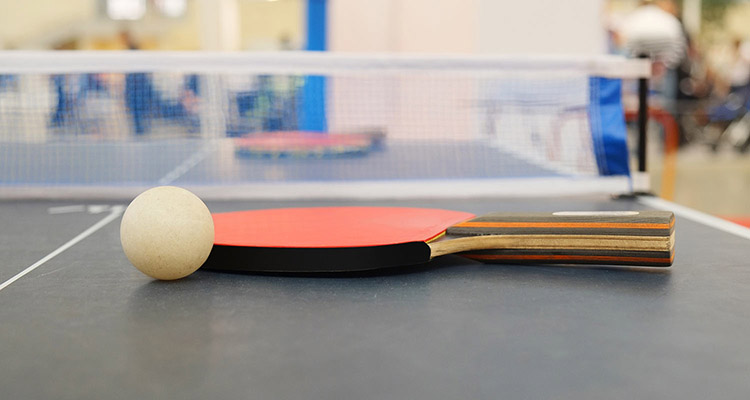 raqueta ping pong